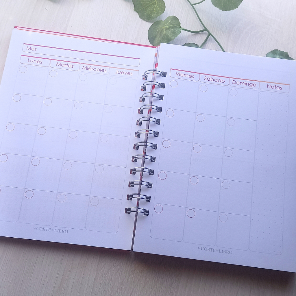 PLANNER ANUAL VOY CON TODO