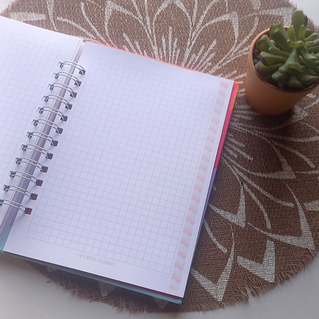 PLANNER DIARIO ONDAS