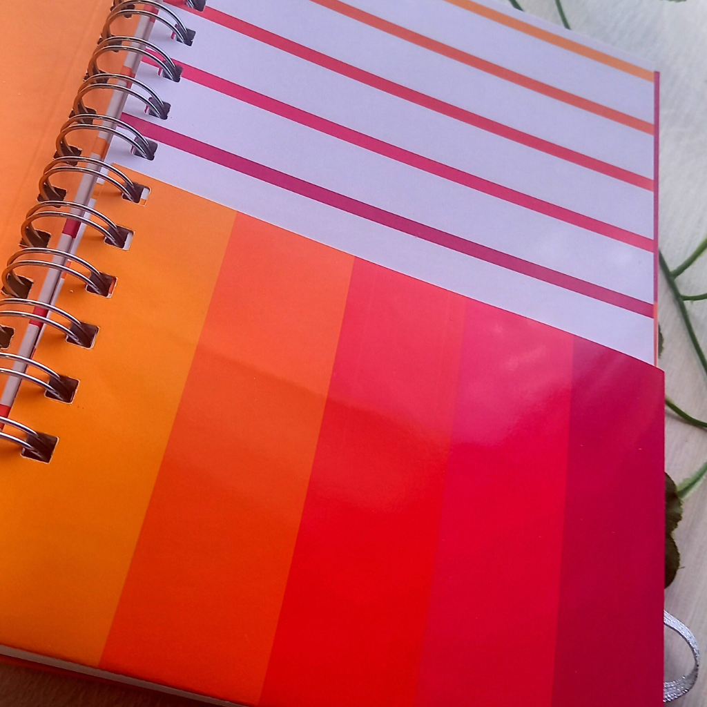 PLANNER ANUAL VOY CON TODO