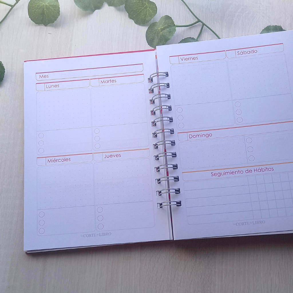 PLANNER ANUAL VOY CON TODO