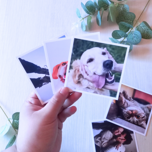 PACK FOTO CLÁSICA CUADRADA