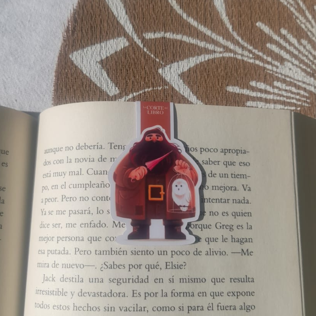 MARCAPÁGINAS HARRY POTTER