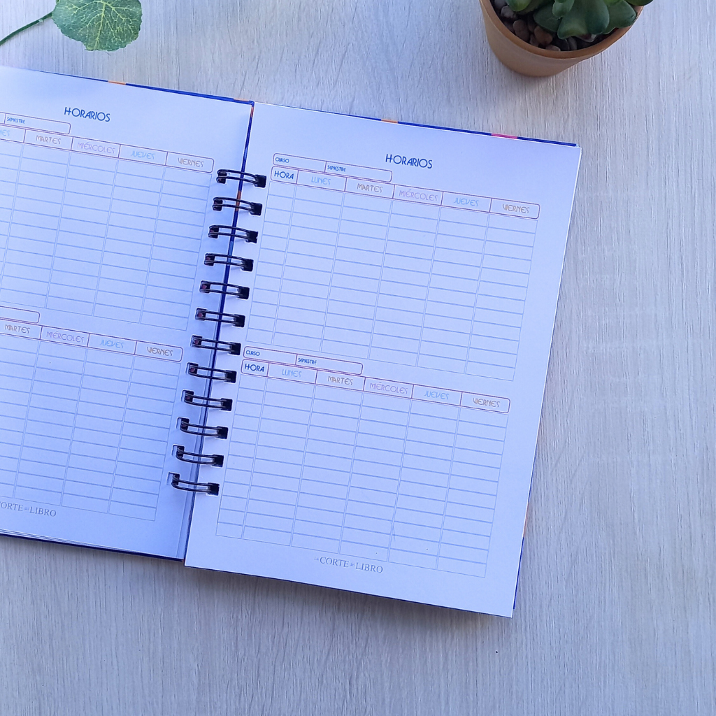 PLANNER DOCENTE SUPER PROFE