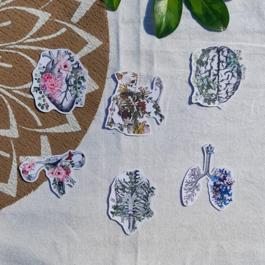 SET STICKERS HUESOS FLORALES